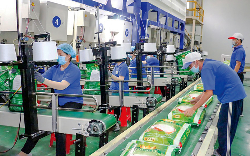 Les exportations de riz et de café reprennent un bon rythme